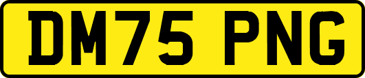 DM75PNG