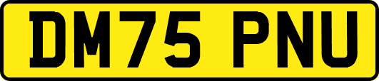 DM75PNU