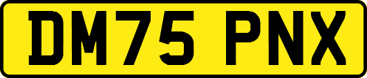 DM75PNX