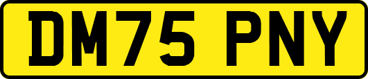 DM75PNY