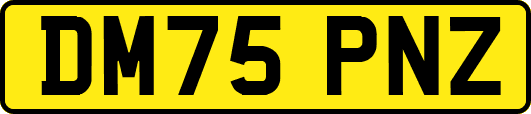 DM75PNZ