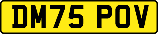 DM75POV