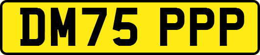 DM75PPP