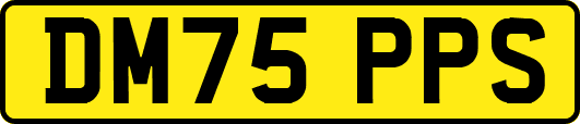 DM75PPS