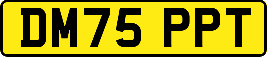 DM75PPT