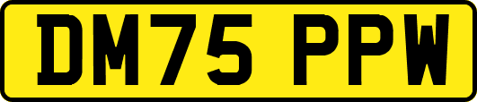 DM75PPW