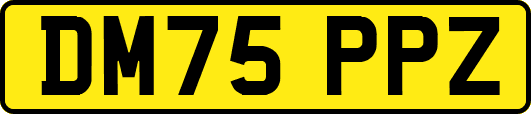 DM75PPZ