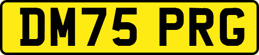 DM75PRG