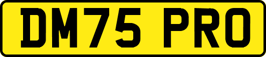 DM75PRO