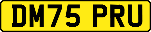 DM75PRU