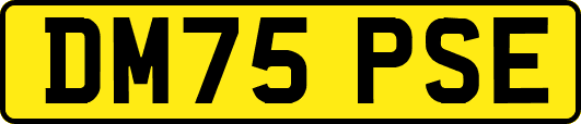 DM75PSE