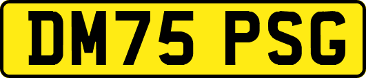 DM75PSG