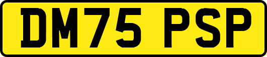 DM75PSP
