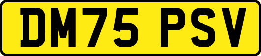 DM75PSV