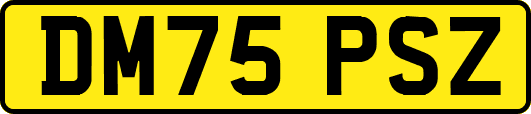 DM75PSZ
