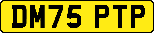 DM75PTP