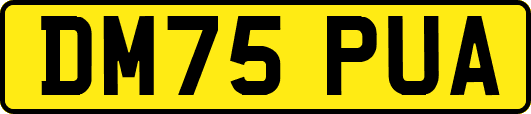 DM75PUA