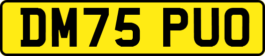 DM75PUO