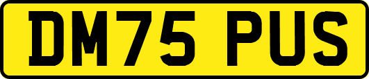 DM75PUS