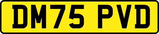 DM75PVD