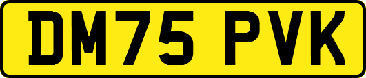 DM75PVK
