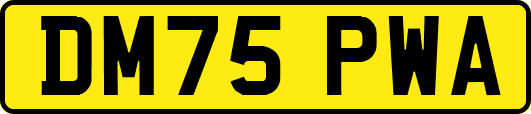 DM75PWA