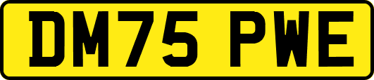 DM75PWE