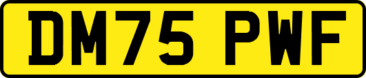 DM75PWF