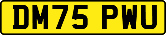 DM75PWU