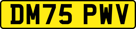 DM75PWV