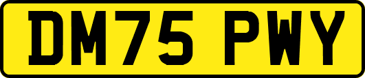 DM75PWY