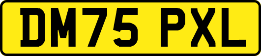 DM75PXL
