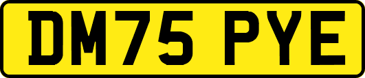 DM75PYE