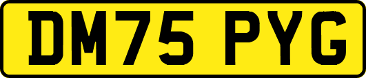DM75PYG