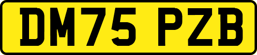 DM75PZB