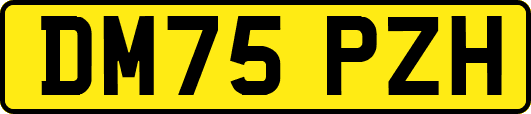 DM75PZH