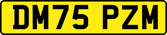 DM75PZM