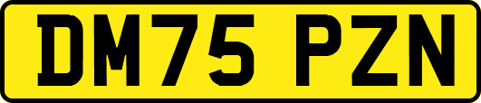 DM75PZN