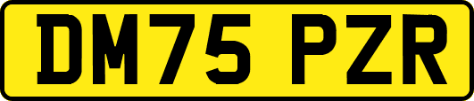 DM75PZR