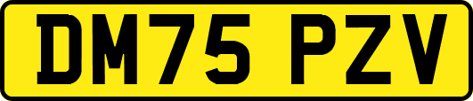 DM75PZV