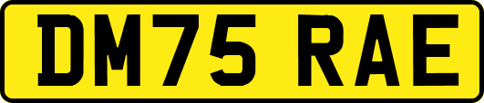 DM75RAE