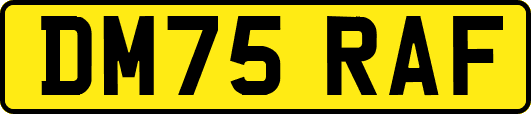 DM75RAF