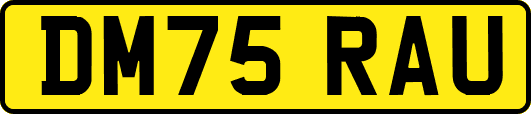 DM75RAU