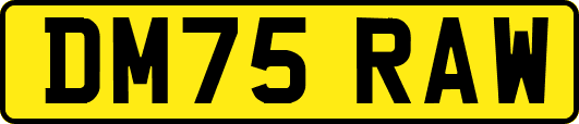 DM75RAW