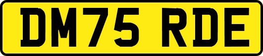 DM75RDE