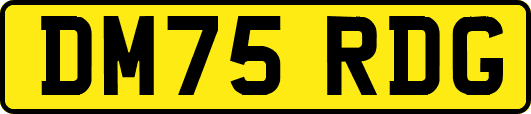 DM75RDG