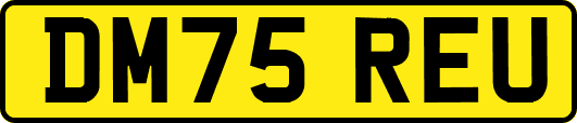 DM75REU