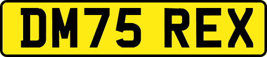 DM75REX