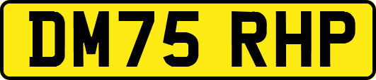 DM75RHP