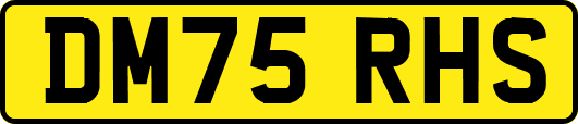 DM75RHS